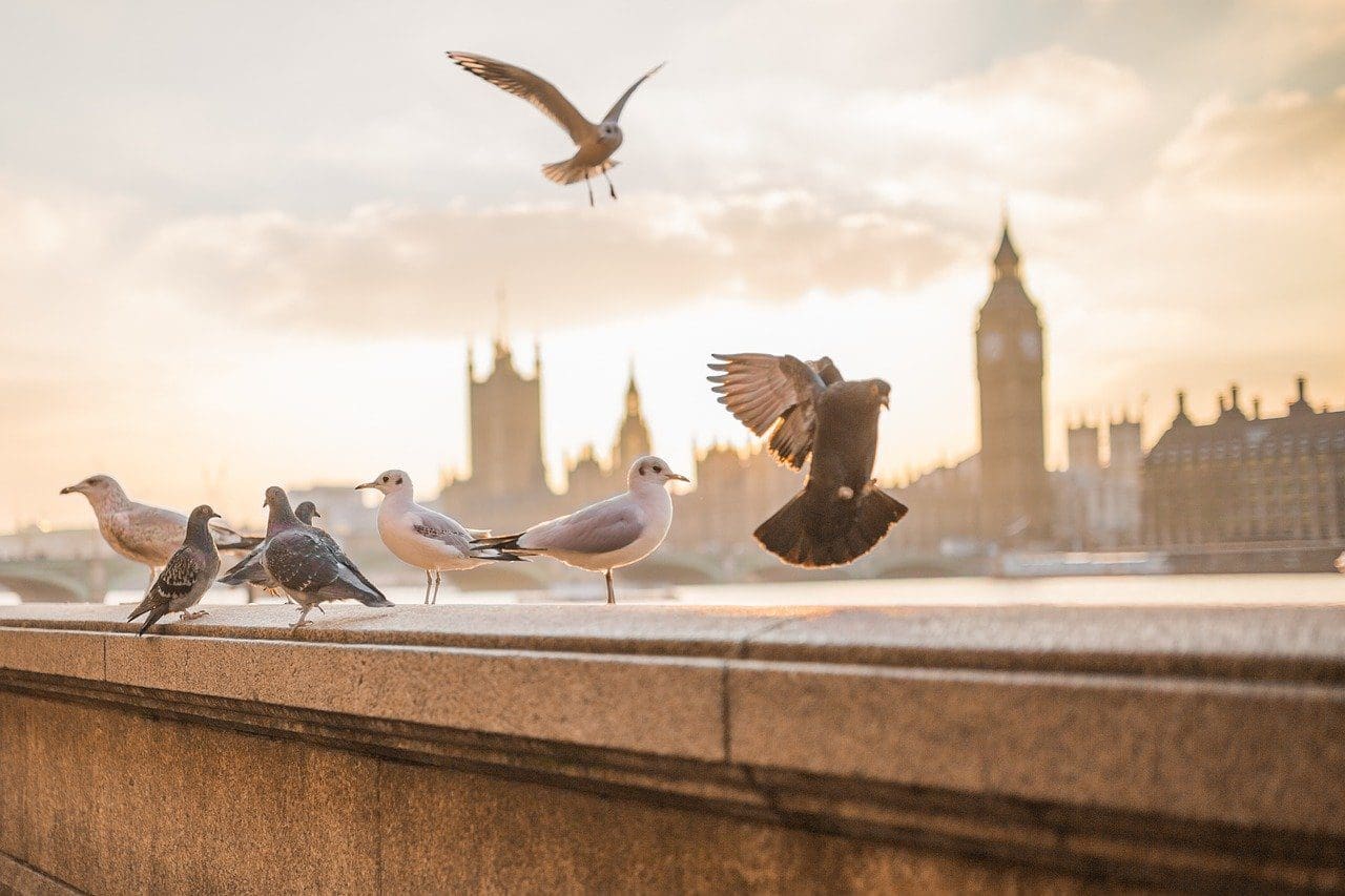 BoE warns against negative interest rates