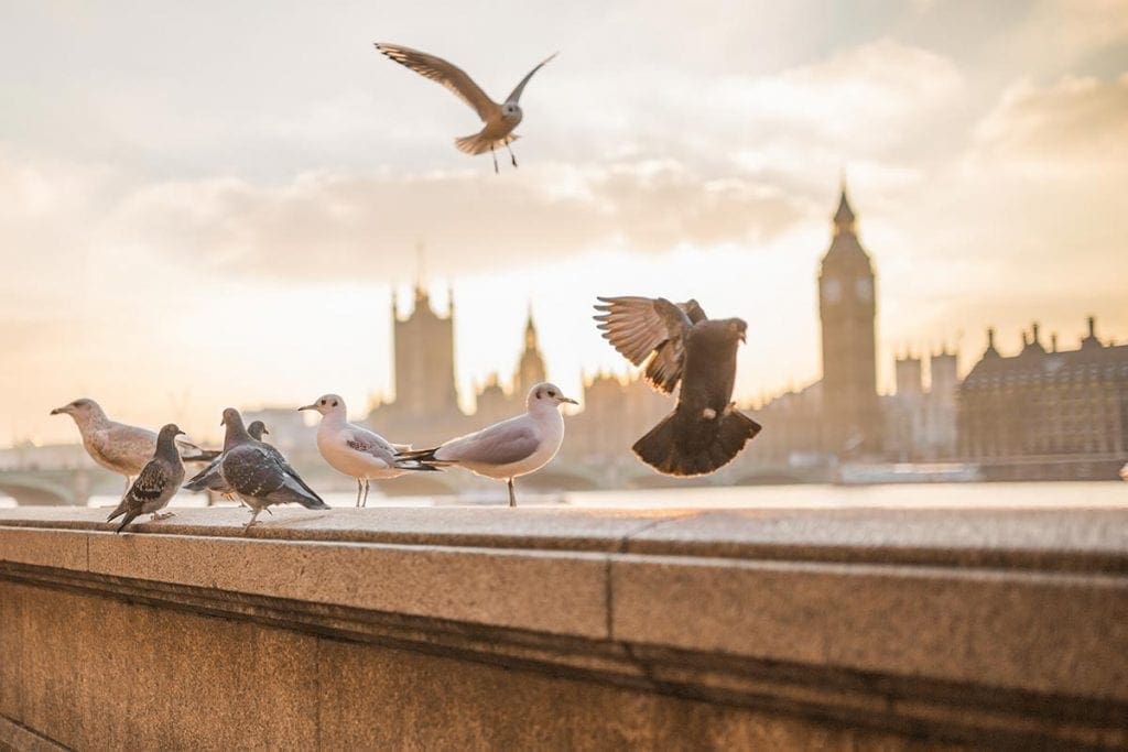 HMRC penalties almost double in six months, says PfP