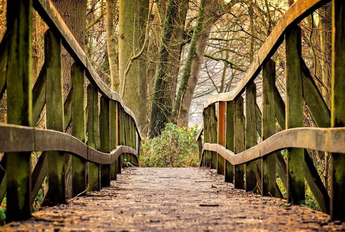 Kreston Reeves team to hike 50km as part of fundraising challenge