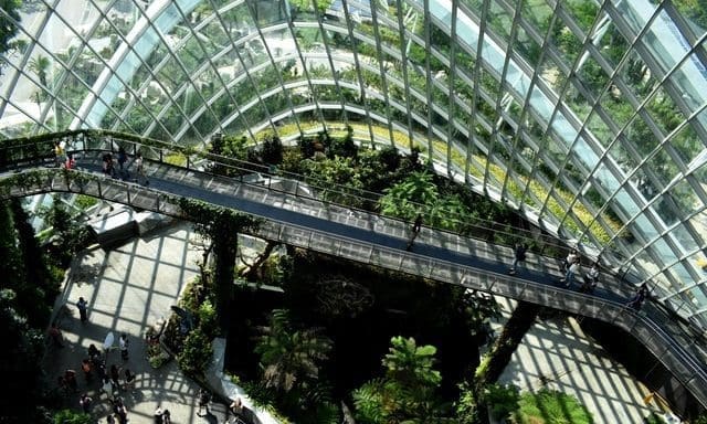 ACCA publishes guide to sustainable capital management for auditors