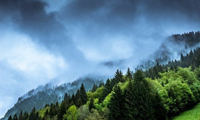 FCA publishes new climate-related disclosure rules