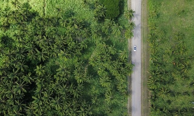 Lack of standardization in sustainability assurance, says IFAC