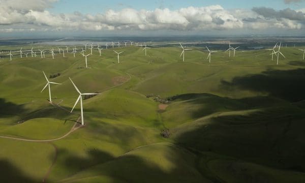 IFAC issues support for IOSCO’s sustainability report