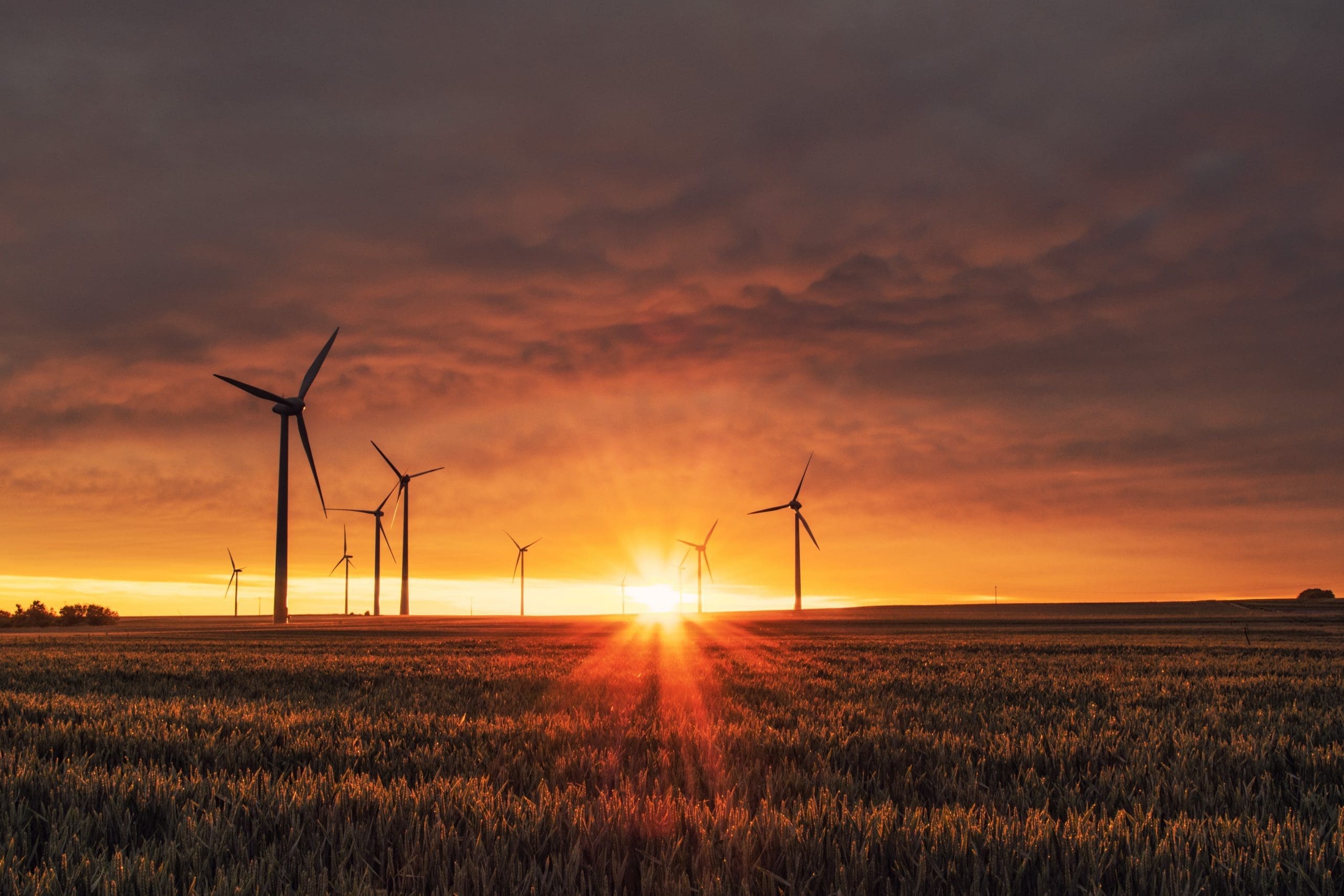 Global accountancy bodies partner for net zero commitment
