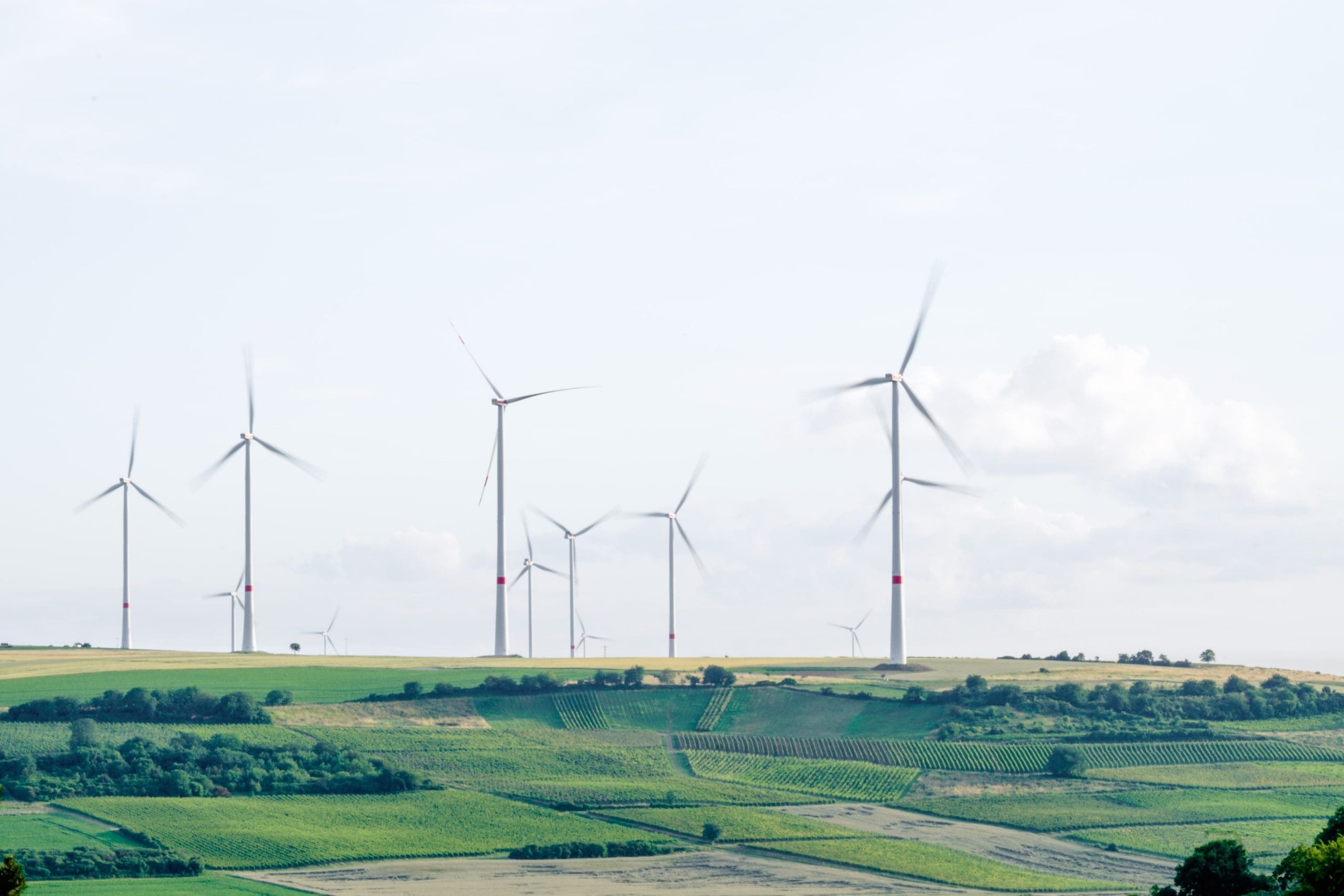 Finance sectors to receive more climate transition guidance