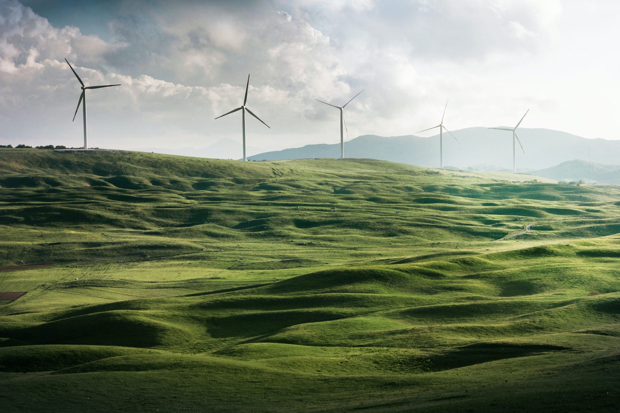EY secures new ESG revolving credit facility