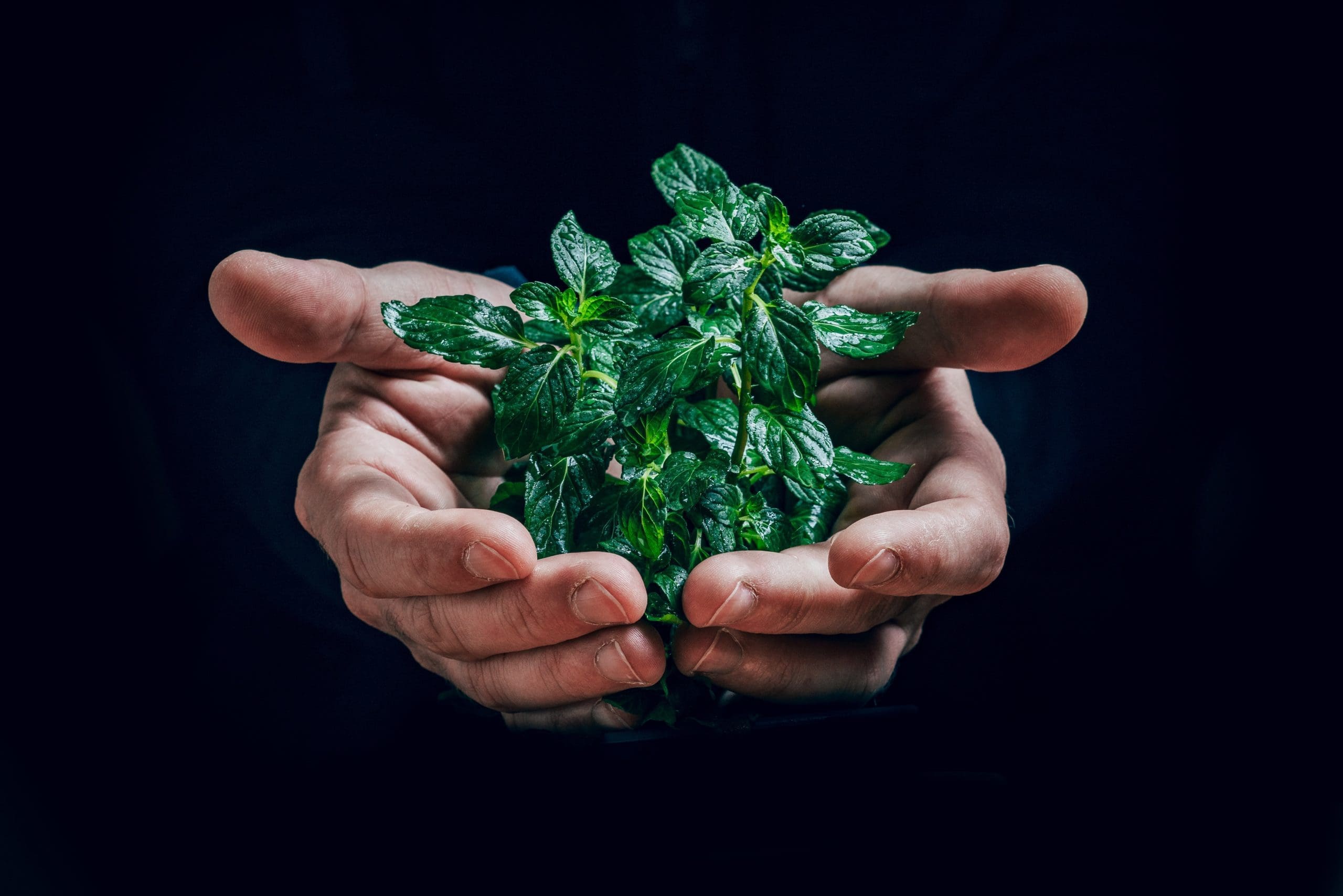 How ICAEW is following a carbon neutrality roadmap