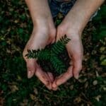ICAEW partners with IFRS and UN to boost global sustainability reporting