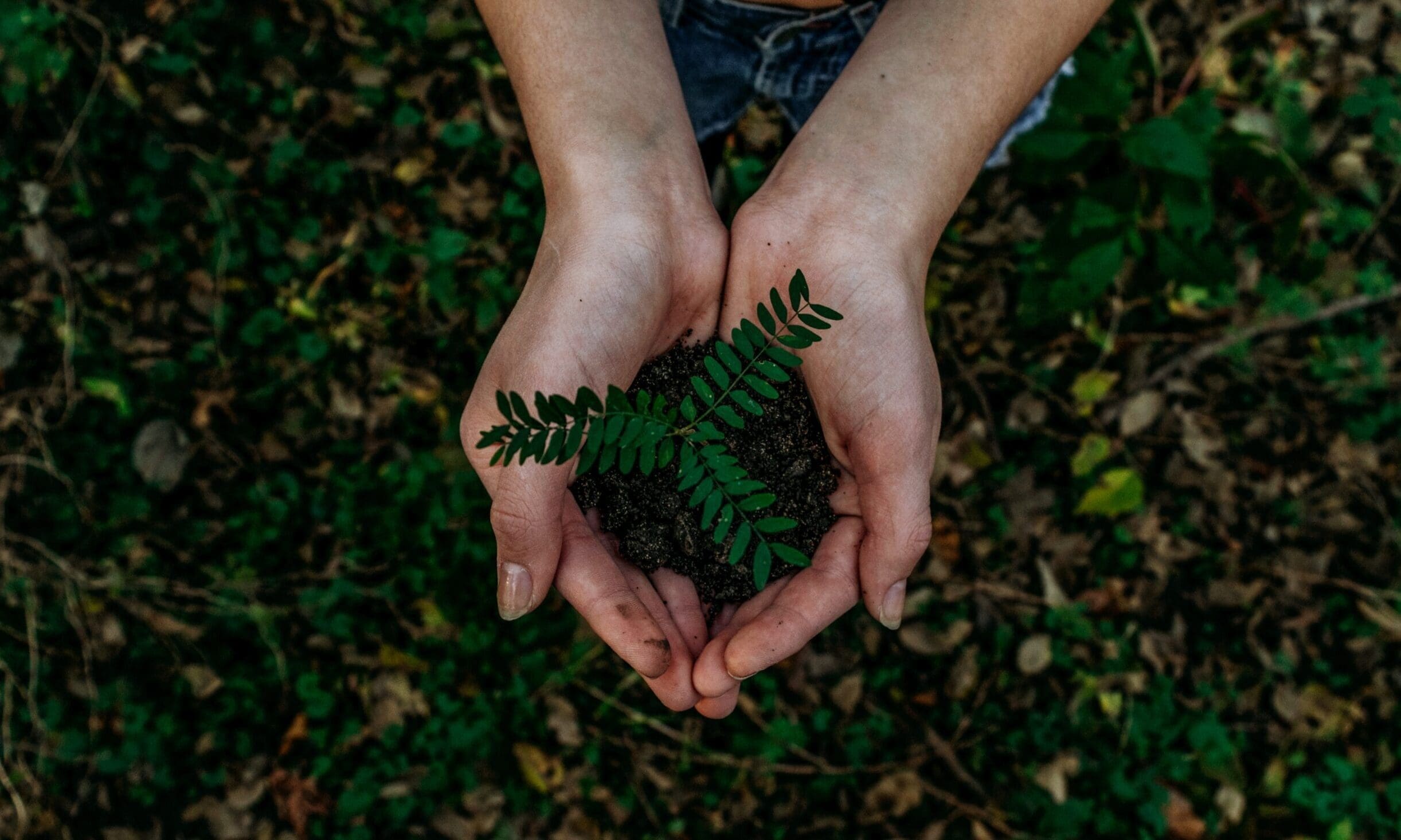 Accountancy bodies urge gov to help meet sustainable development goals