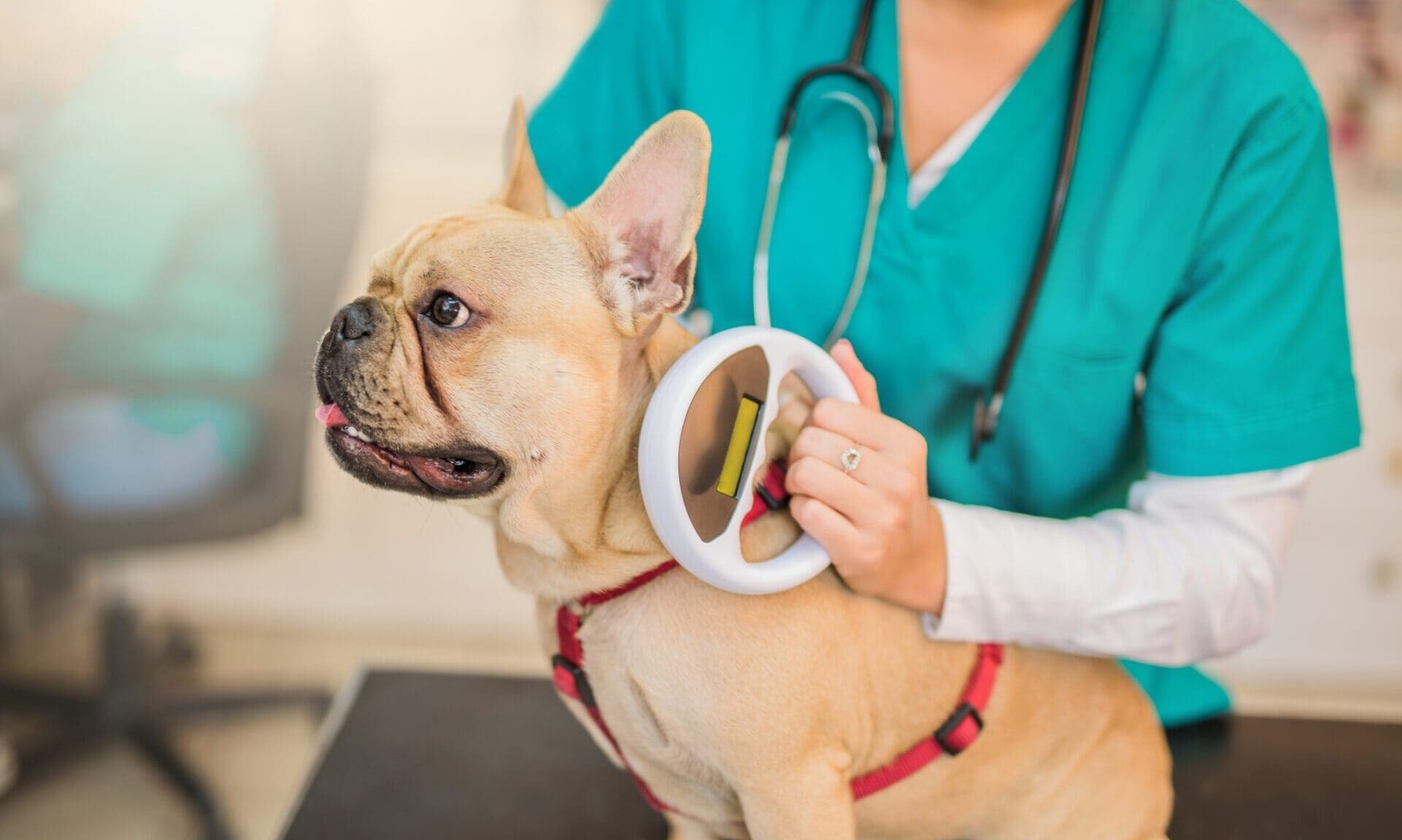FRP advises Animalcare Group on Identicare sale