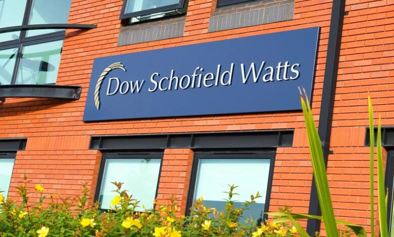 DSW completes £809m worth deals in 2024